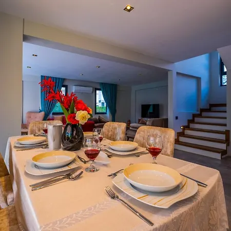 ヴィラ Infinity Lily 2 フェティエ