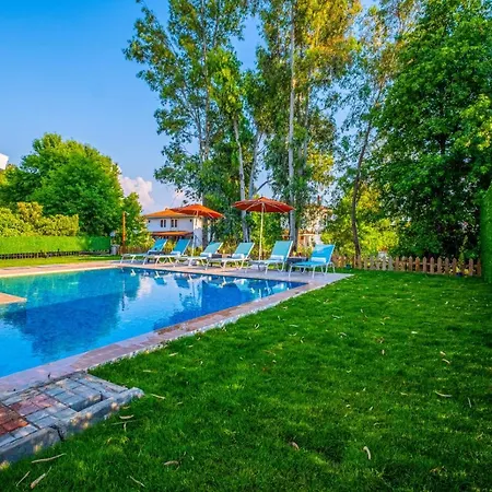 Infinity Lily 2 フェティエ