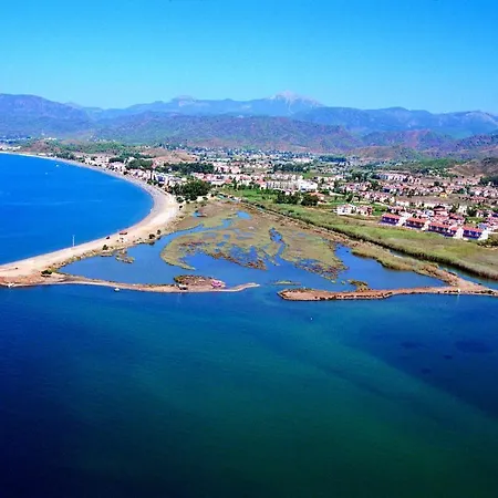 Infinity Lily 2 * フェティエ